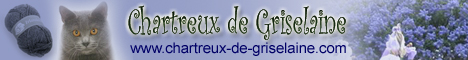 Chartreux De Griselaine